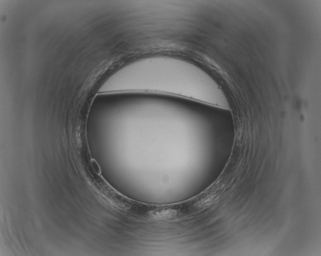 X0000069380452200605120922