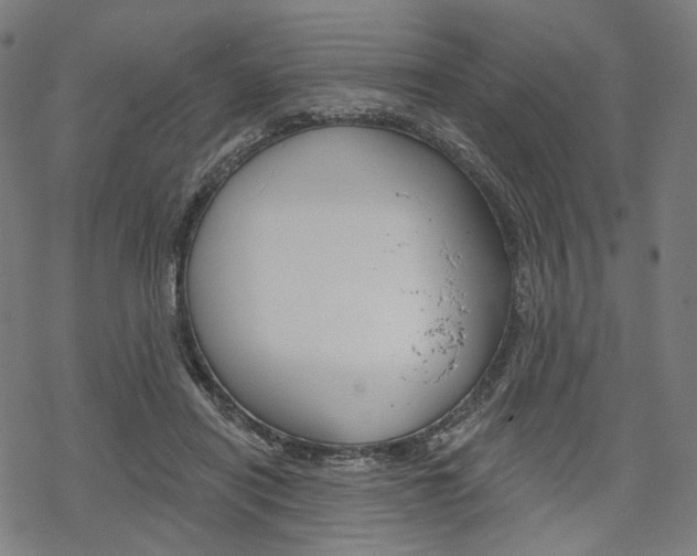 X0000069380454200605120922