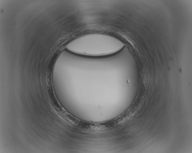 X0000069380455200605120922