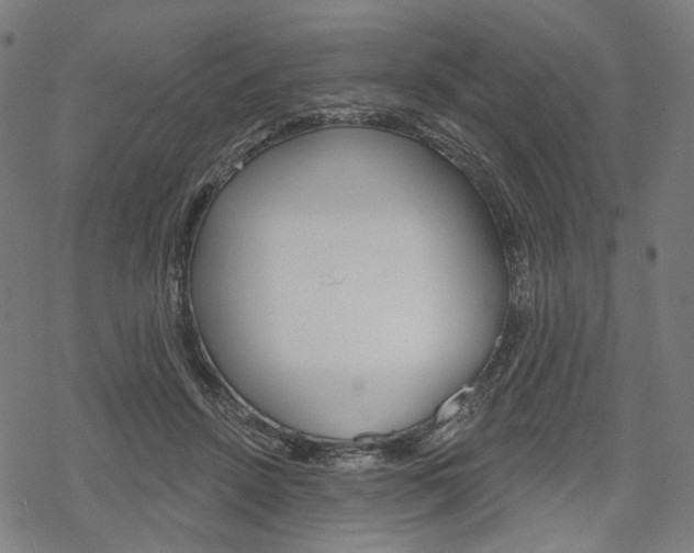 X0000069380456200605120922