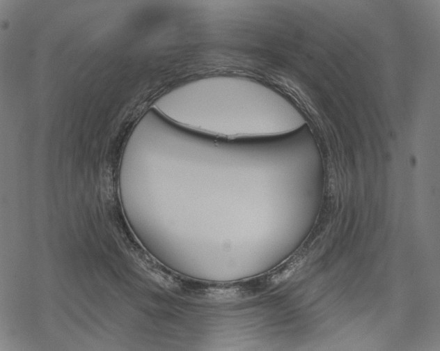 X0000069380457200605120922