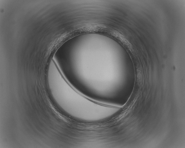 X0000069380493200605120921
