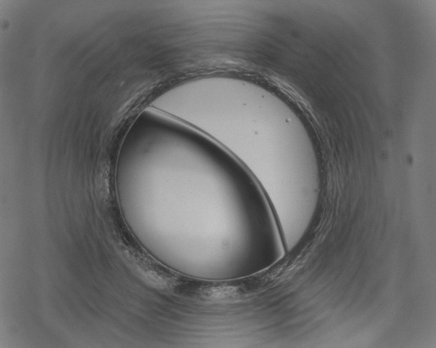 X0000069380501200605120921