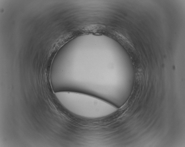 X0000069380504200605120921