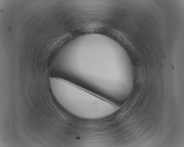 X0000069380505200605120921