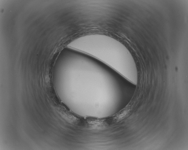 X0000069380516200605120921