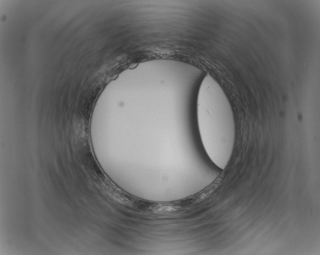 X0000069380518200605120921