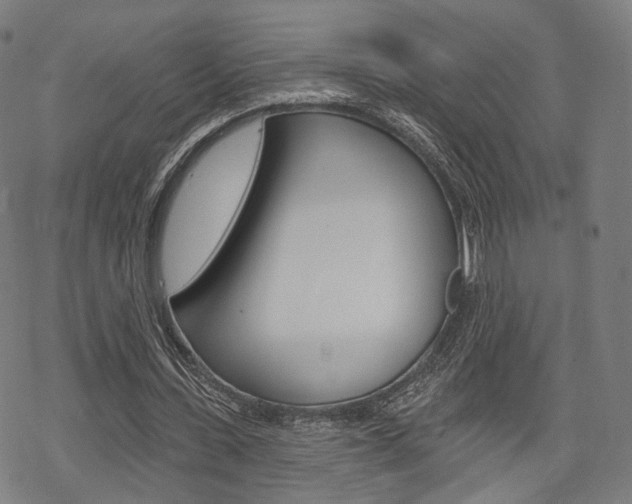 X0000069380531200605120920