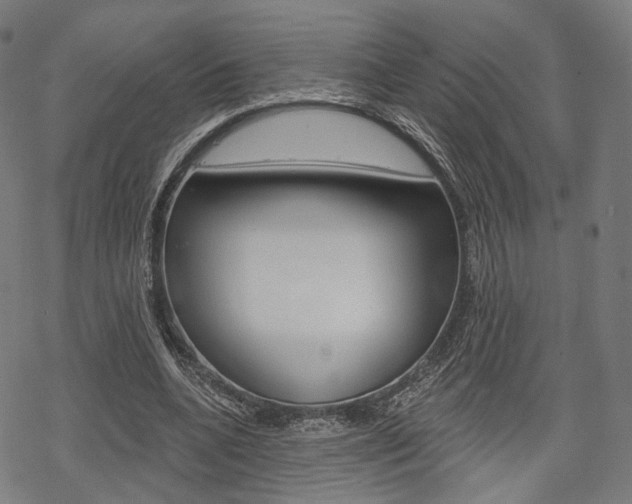 X0000069380536200605120920