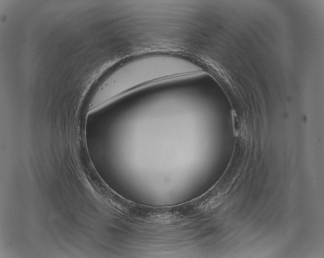 X0000069380540200605120920