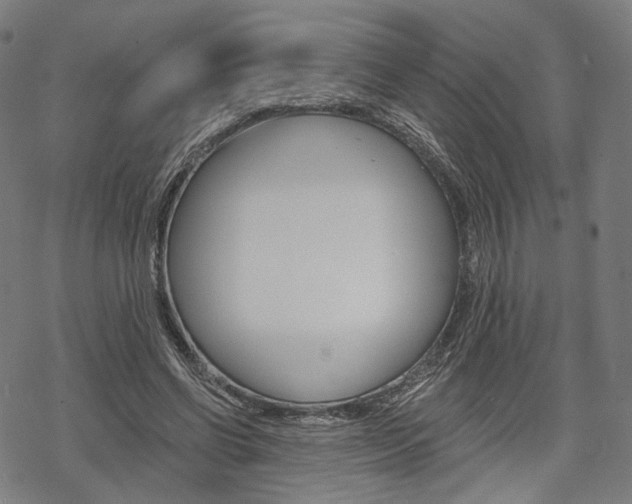 X0000069380542200605120920