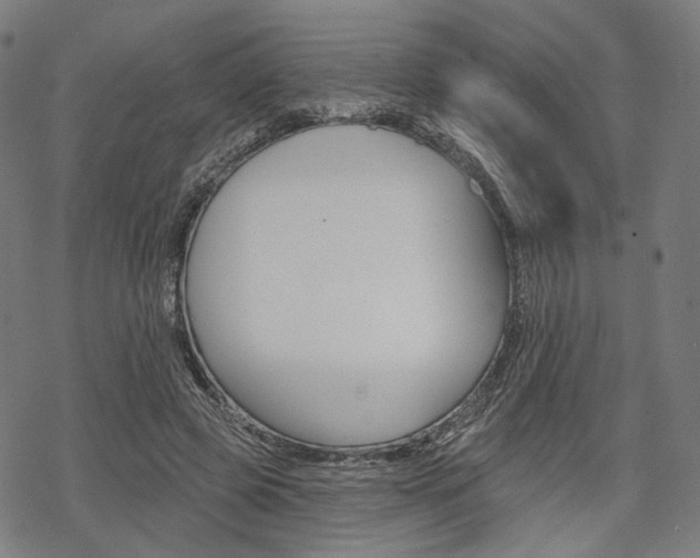 X0000069380545200605120920