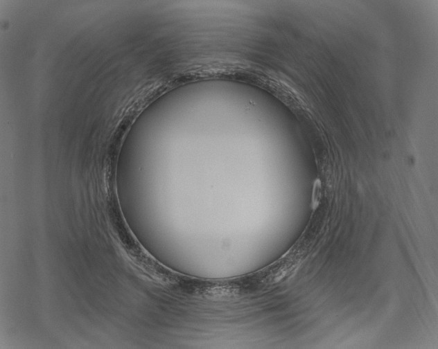 X0000069380546200605120920