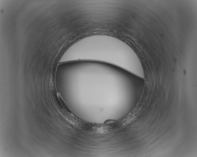 X0000069380564200605120921