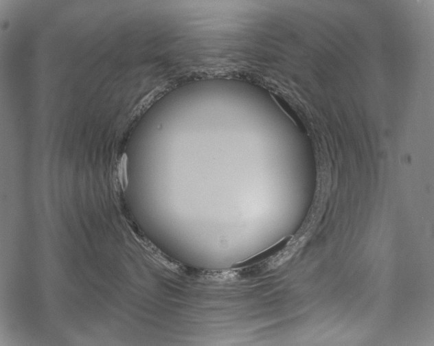X0000069380576200605120921