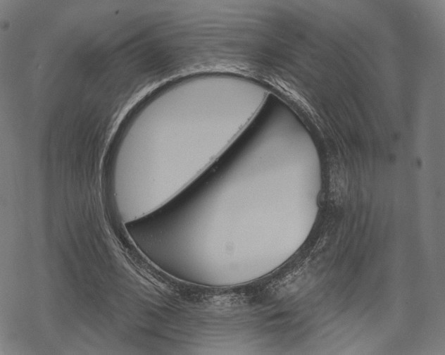 X0000069380584200605120920
