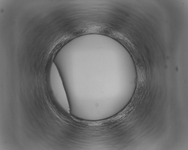 X0000069380591200605120920