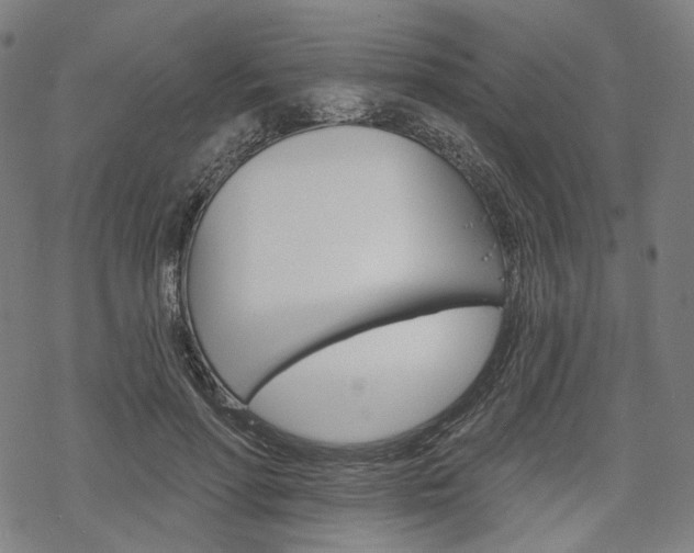 X0000069380598200605120920