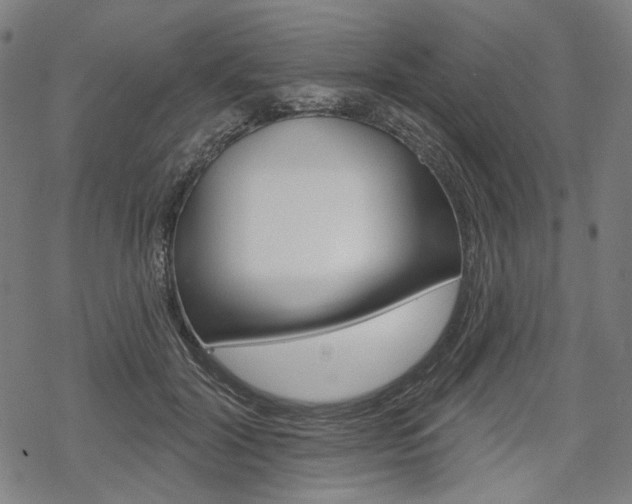 X0000069380604200605120919
