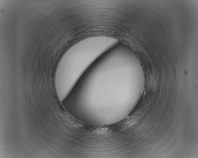 X0000069380609200605120919