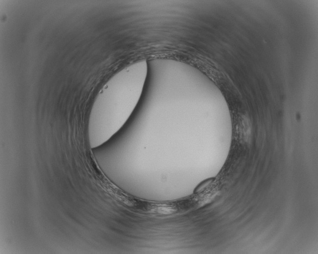 X0000069380610200605120919