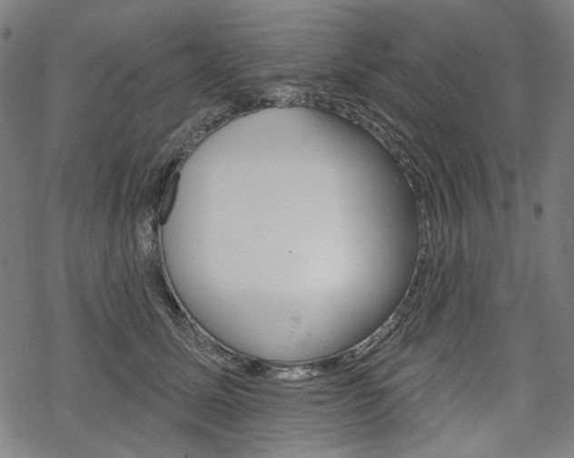 X0000069380611200605120919