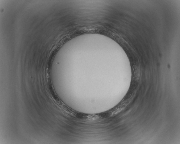 X0000069380612200605120919