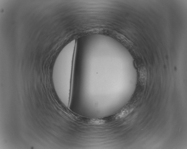 X0000069380617200605120919