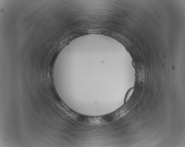 X0000069380618200605120919