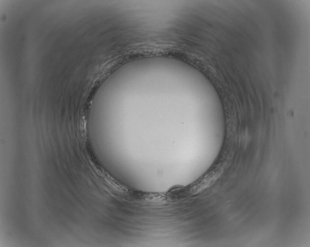 X0000069380624200605120919