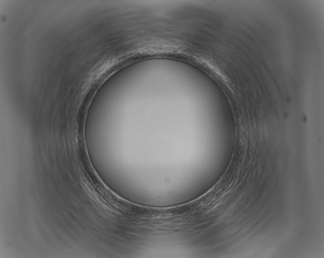 X0000069380631200605120918