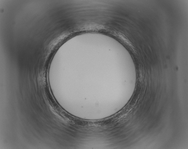X0000069380632200605120918