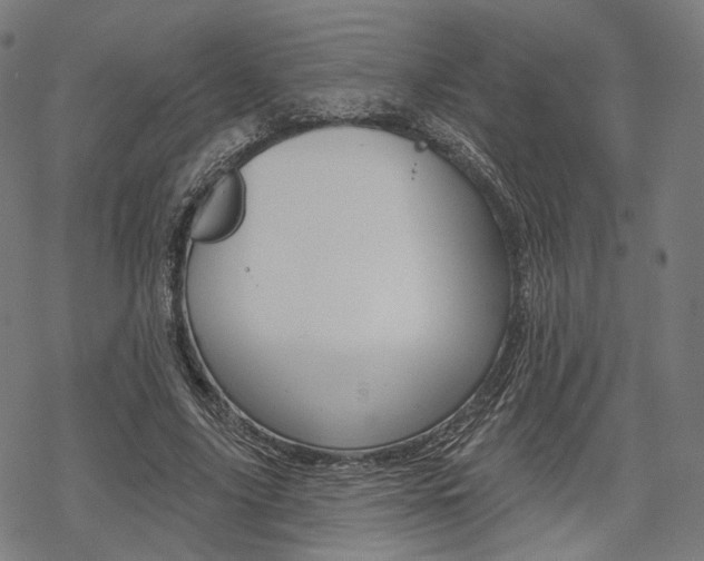 X0000069380635200605120919