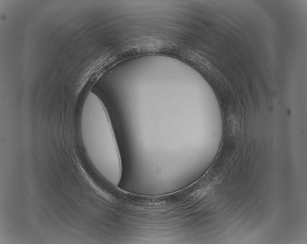 X0000069380638200605120919