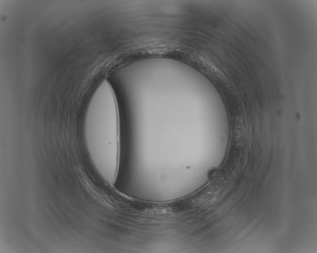 X0000069380639200605120919