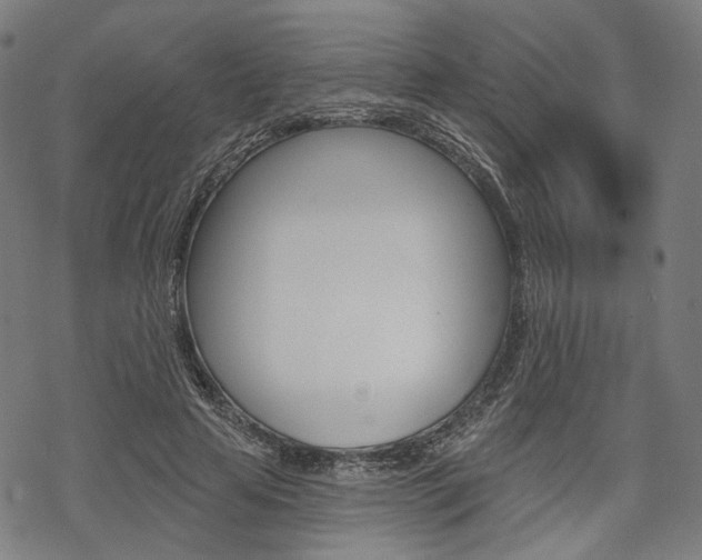 X0000069380641200605120919