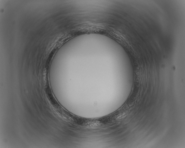 X0000069380642200605120919