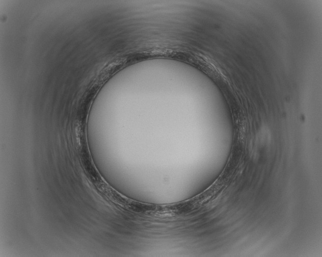 X0000069380643200605120919