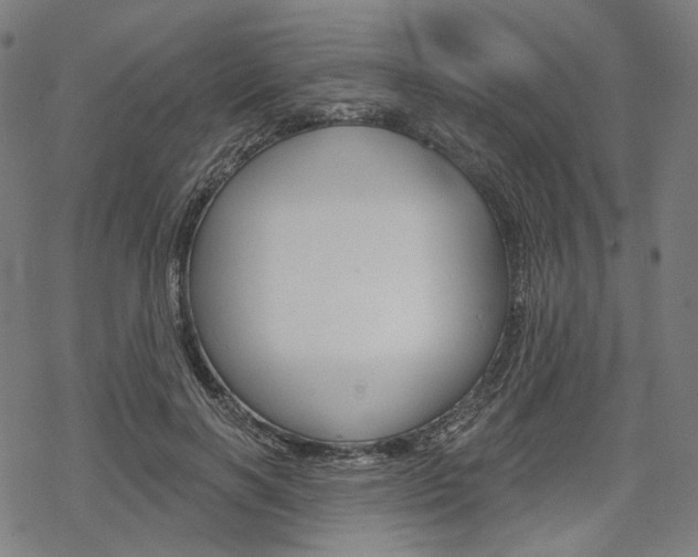 X0000069380646200605120919