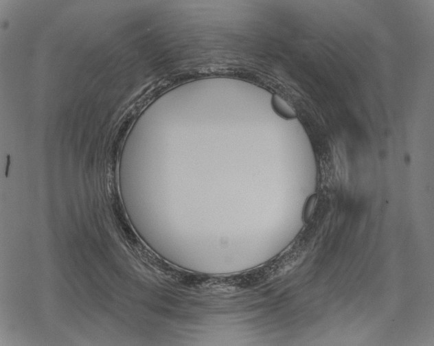 X0000069380648200605120919