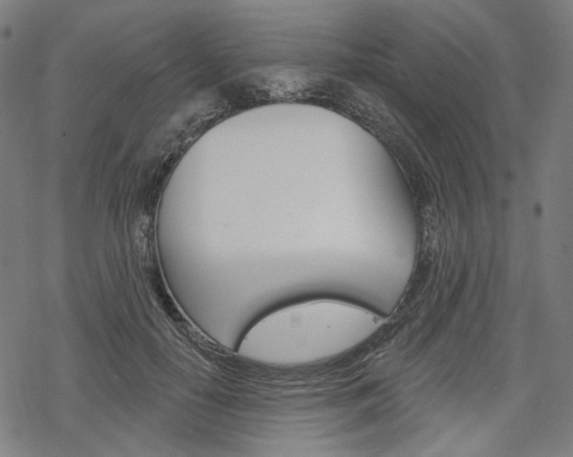 X0000069380650200605120919