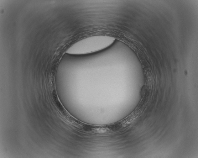 X0000069380654200605120919