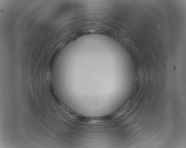 X0000069380657200605120919