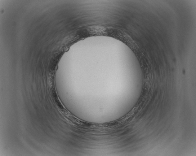 X0000069380658200605120919