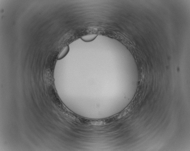 X0000069380659200605120919