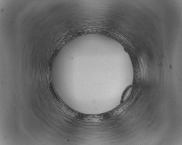 X0000069380661200605120919