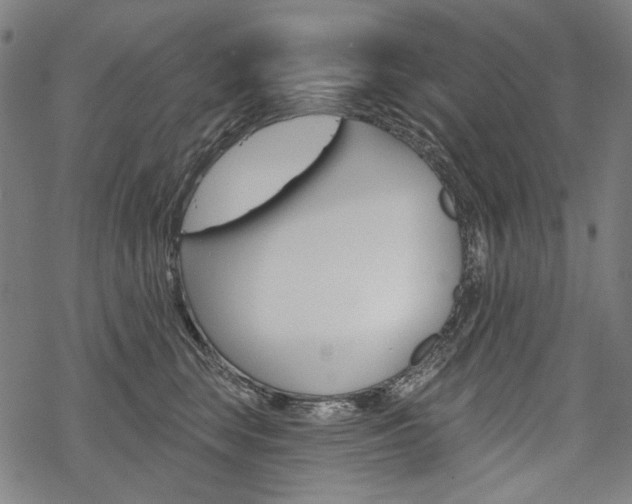 X0000069380663200605120919