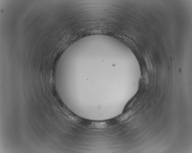 X0000069380665200605120919