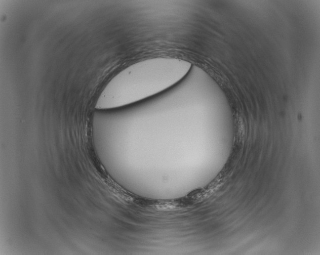 X0000069380668200605120919