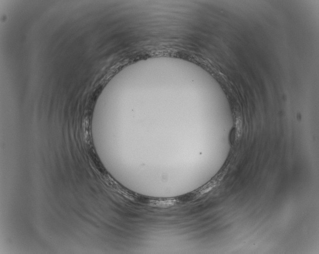 X0000069380671200605120919
